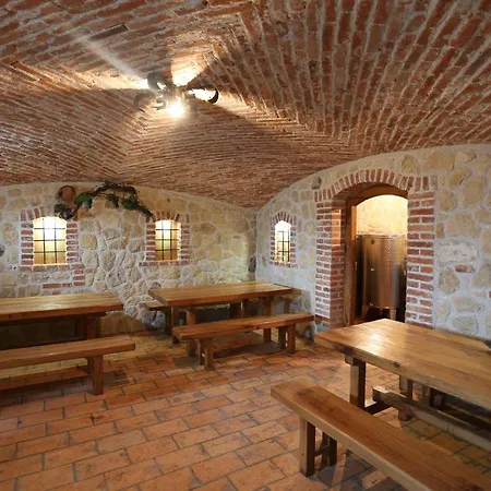 Vineyard Zidanca Med Vinogradi