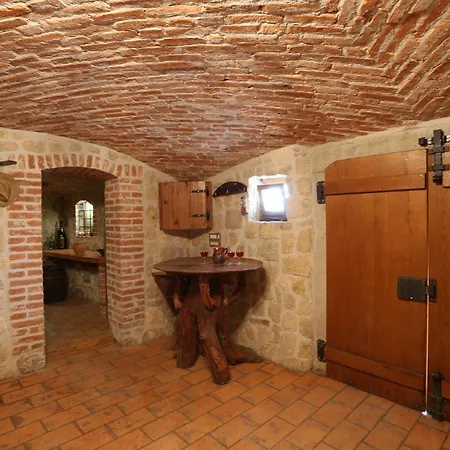 Vineyard Zidanca Med Vinogradi *