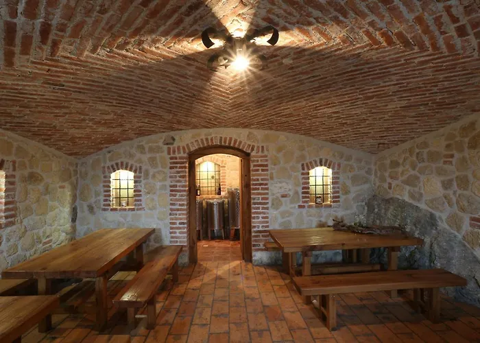 Vineyard Zidanca Med Vinogradi Otočec