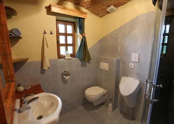 Vineyard Zidanca Med Vinogradi *