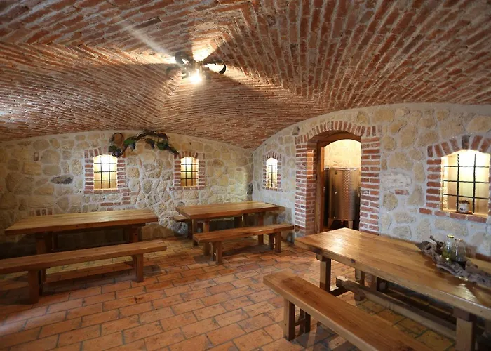 Vineyard Zidanca Med Vinogradi